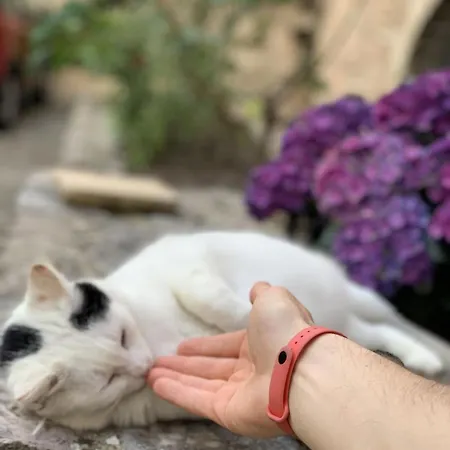 Lucky Garden فندق مبيت وإفطار 3*