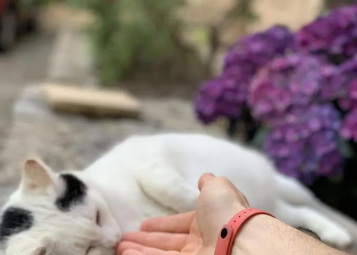 Lucky Garden ベッド・アンド・ブレックファスト 3*